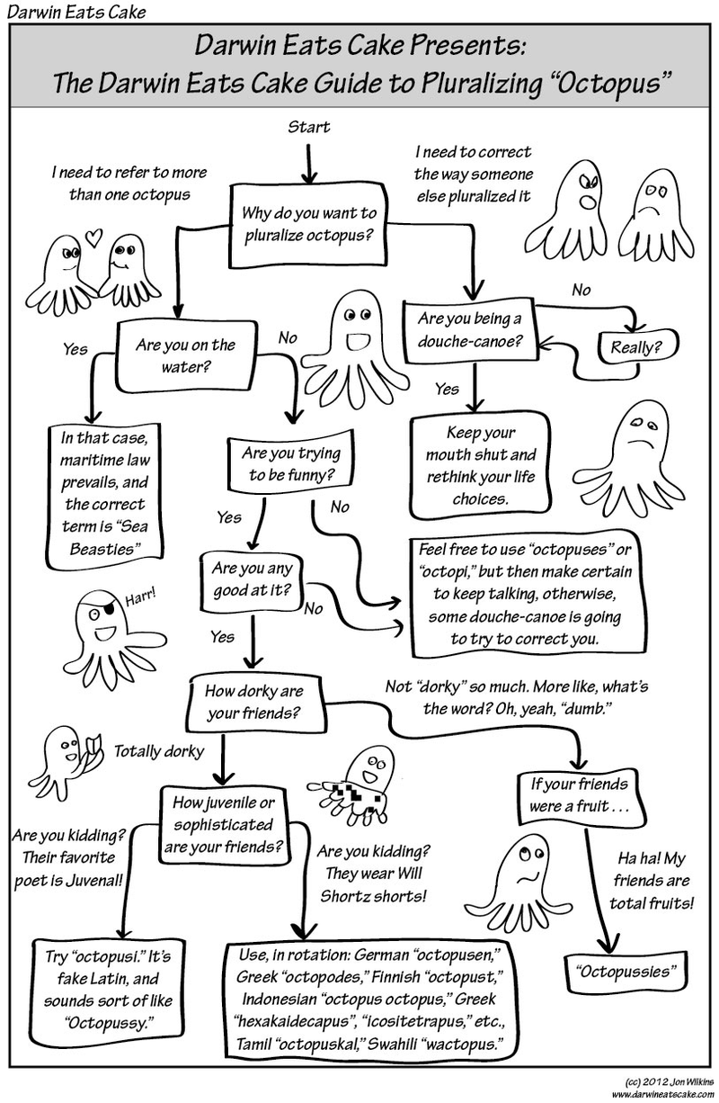 Illustration for article titled What is the correct pluralization of octopus?